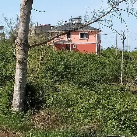 Parlayan