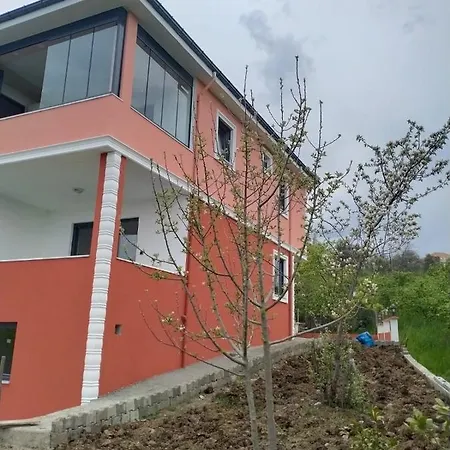 Parlayan 4*